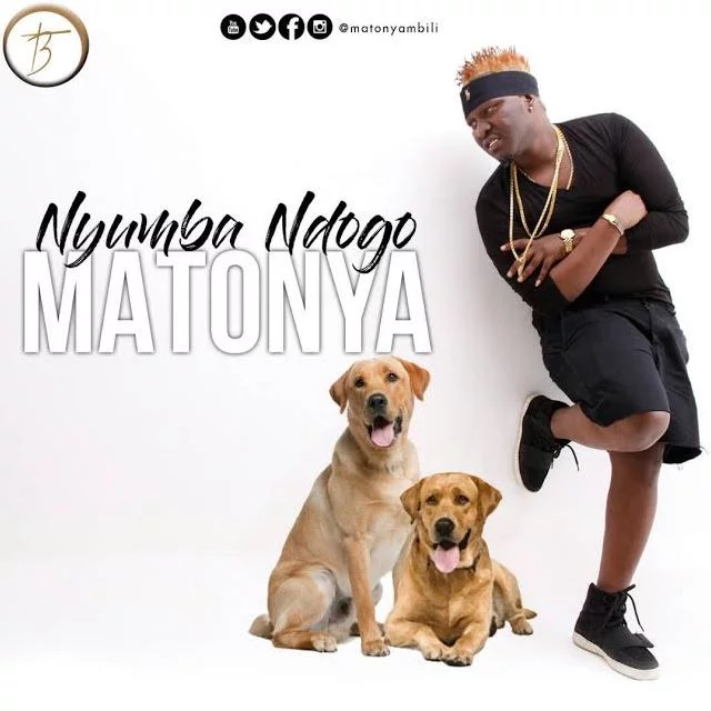 matonya nyumba ndogo