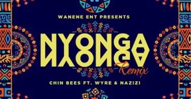 chin bees ft wyre nazizi nyonga nyonga remix