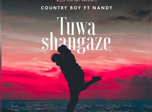 country boy ft nandy tuwashangaze
