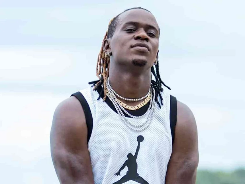 willy paul jamaican wine