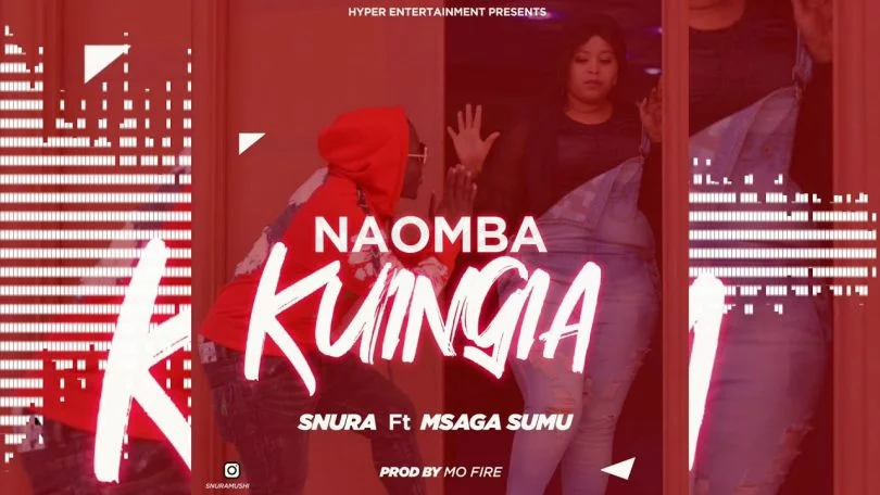 snura ft msaga sumu naomba kuingia