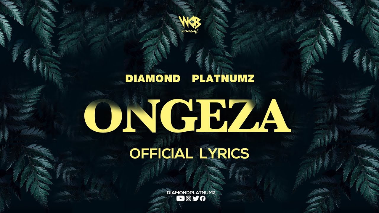 Diamond Platnumz - Ongeza (Video Lyrics) watch here.