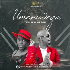 Vein Ft Mr. Blue - Umeniweza