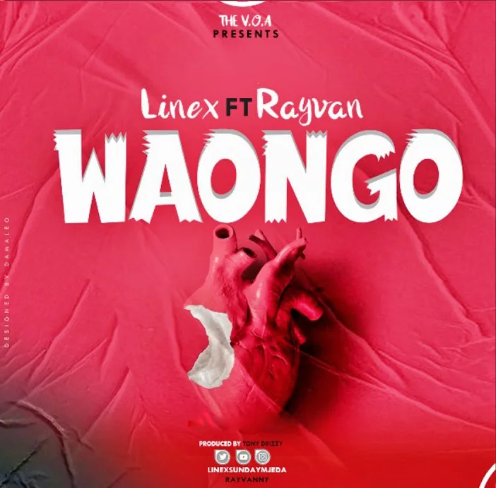 linex ft rayvanny waongo