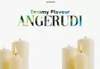 tommy flavour angerudi