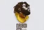 naiboi 2 in 1