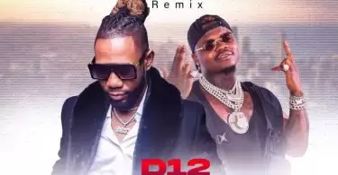 D12 Harmonize My Way Remix