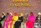 hammer q pembe la ngombe