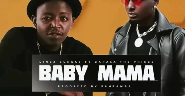 baby mama remix