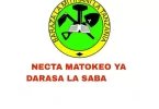 Matokeo Darasa la Saba