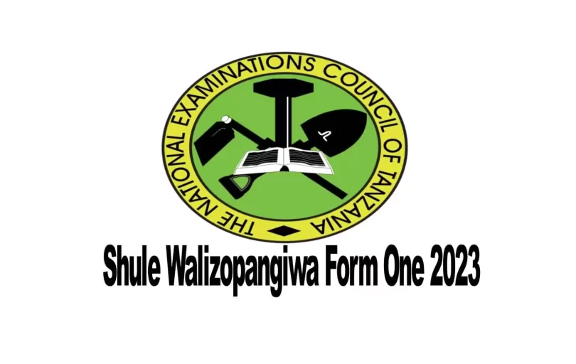 Shule Walizopangiwa la saba