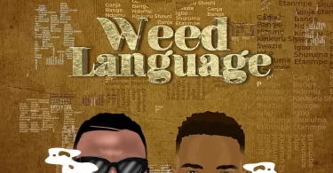 harmonize ft konshens weed language