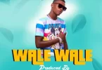 daison vevo walewale