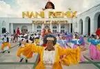 video zuchu ft innossb nani remix