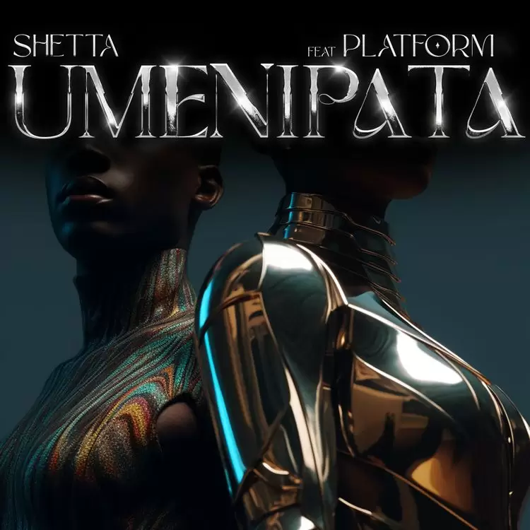 Shetta Umenipata