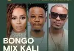 Pakua Bongo Mix Kali ft Nandy