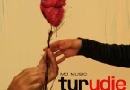 MO Music Turudie