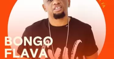 Bongo Flava MP3 Mix ft Mwana Fa