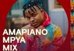 Amapiano Mix ft Whozu