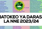 Matokeo Ya Darasa la Nne 2024