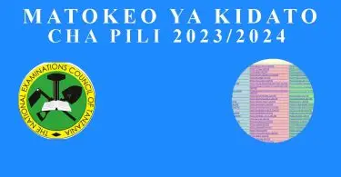 Matokeo Ya Kidato cha Pili 2023 / 2024