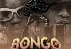 whozu ft marioo bongo