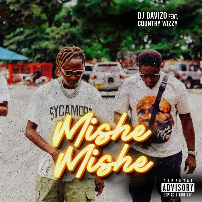 dj davizo ft country wizzy mishemishe