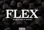 Serikali Kuu Ya Mizuka Flex