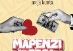 macvoice ft meja kunta mapenzi na pesa