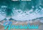 nedy music amesahau