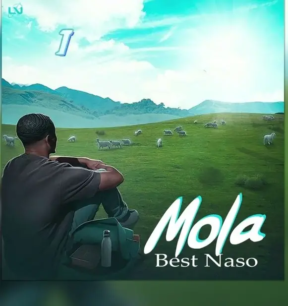 Best Naso Mola