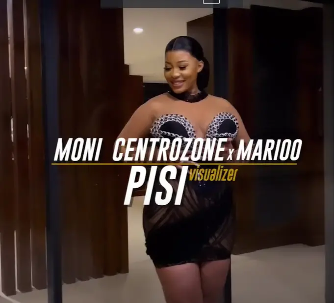 Moni Centrozone PISI