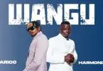 Marioo Ft Harmonize Wangu