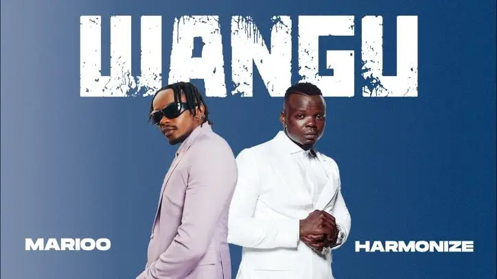 Marioo Ft Harmonize Wangu