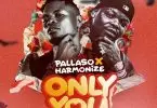 Pallaso ft Harmonize Only You