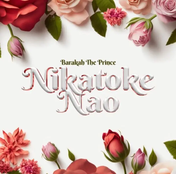 barakah da prince nikatoke nao