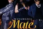 luludiva ft mabantu wanamezea mate