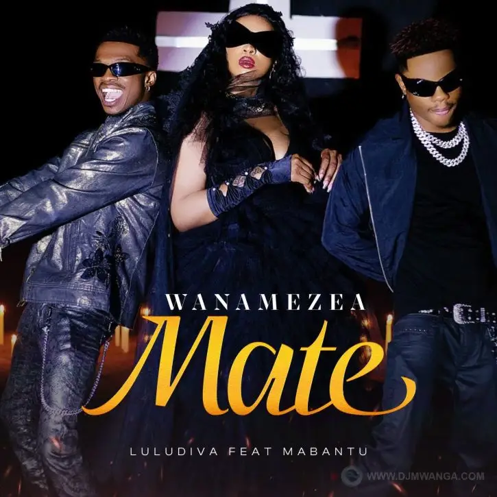 luludiva ft mabantu wanamezea mate