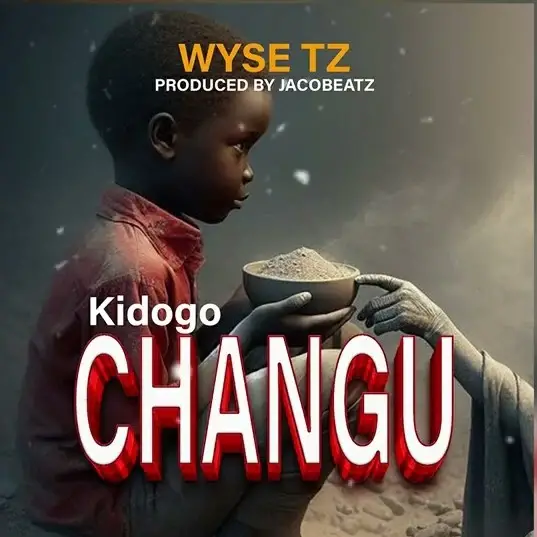 wyse tz kidogo changu