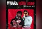 ndaro ft g boy mwaka bora uishe